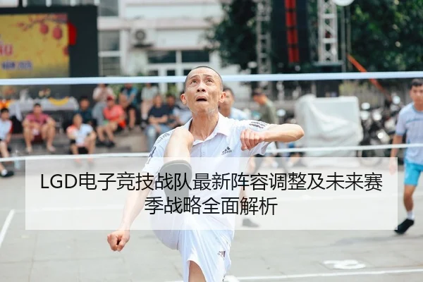 LGD电子竞技战队最新阵容调整及未来赛季战略全面解析